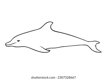 dolphin outline vector illustration,isolated on white background,top view