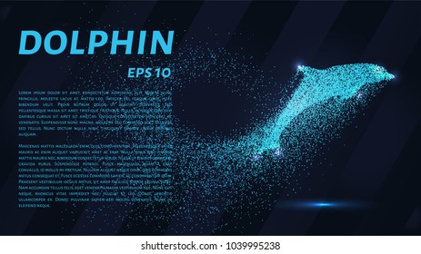 Dolphin of the particles. The Dolphin consists of circles and points. Vector illustration.