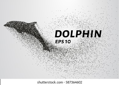 Dolphin of the particles. The Dolphin consists of circles and points. Vector illustration.