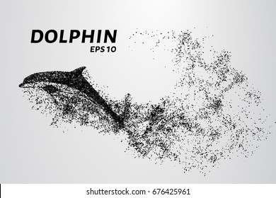 Dolphin of the particles. The Dolphin consists of circles and points. Vector illustration.