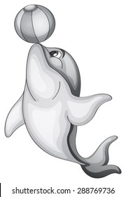 Dolphin playing with beach ball