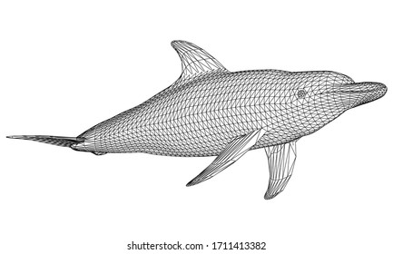 Polygonale Delphin-Linien-Illustration. Abstrakter Delfin der Vektorillustration auf weißem Hintergrund