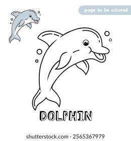Dolphin Premium Vector. coloring book pages for kids