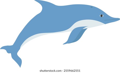 Dolphin, realistic dolphin icon isolated on white background. Vector, designer illustration. Vector.