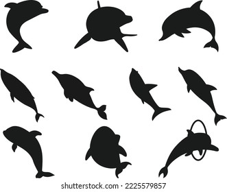 Dolphin Scissor Skills isolated vector Silhouette
