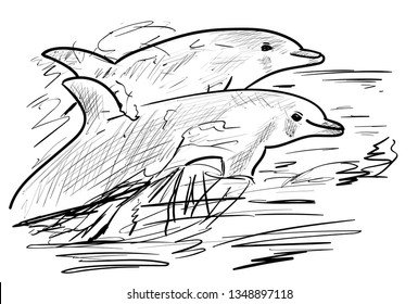 dolphin in the sea