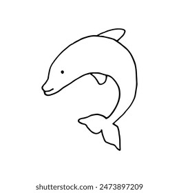 Dolphin, sea animal, mammals. Doodle.Vector illustration. Hand drawn. Outline.