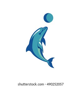 Dolphin Sea Blue Play Animal Mammal Kids Cute Nature Water