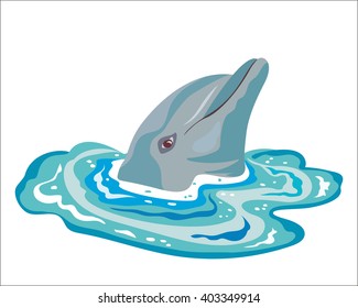 Dolphin in sea water. Dolphin head Peeps out of the water. Vector graphic image.