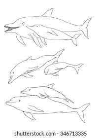 Dolphin Set Hand Drawn