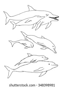 Dolphin set hand drawn