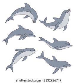 Dolphin set. Jumping playful aquatic animal contour line doodle vector Illustration.