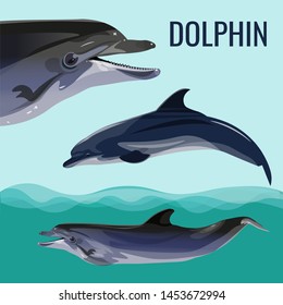 Dolphin set. Vector illustration isolated on blue background
