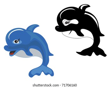Dolphin and shark