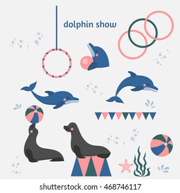 dolphin show, sea lion, seal, aqua circus and ocean animal