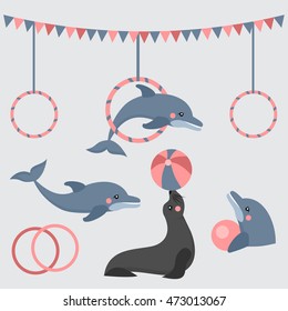 dolphin show, sea lion, seal, aqua circus and animal vector