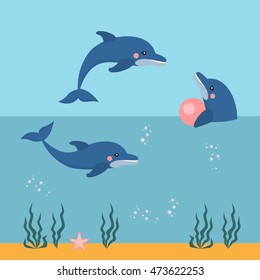 dolphin show  sea lion, seal, aqua circus and ocean animal