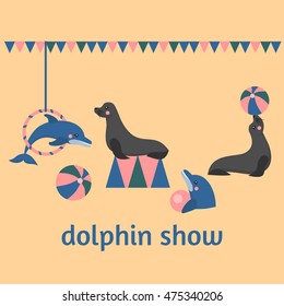 dolphin show sea lion, seal, aqua circus and ocean animal