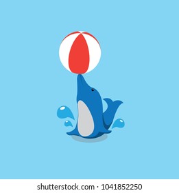Dolphin show with toys