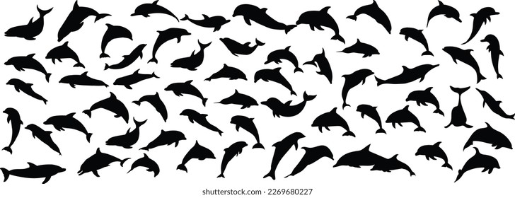 Dolphin silhouette collection vector design svg