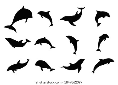 dolphin silhouette icon vector set for logo