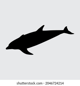 Dolphin Silhouette, Dolphin Isolated On White Background