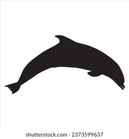 Dolphin silhouette vector illustration. Dolphin silhouette
