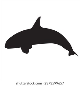 Dolphin silhouette vector illustration. Dolphin silhouette
