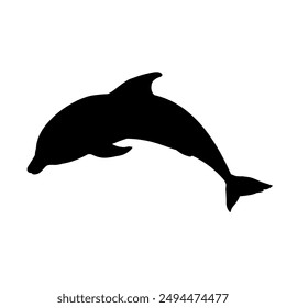 dolphin silhouette - vector illustration