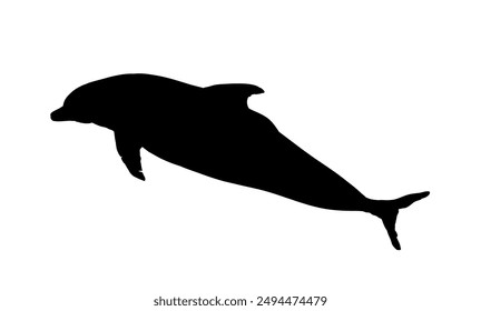 silueta de delfín - Ilustración vectorial
