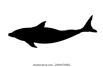 silueta de delfín - Ilustración vectorial