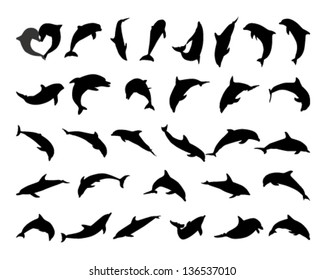 Dolphin Silhouettes