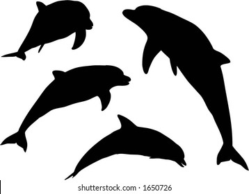 Dolphin silhouettes - vector