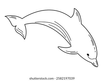 Dolphin sketch, black and white image, outline.