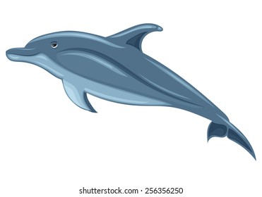  Dolphin, sketch on white background.