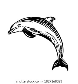 イルカの跳び方を描いた白黒のイラスト フレームは簡単に削除できます のベクター画像素材 ロイヤリティフリー Shutterstock