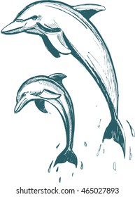 Dolphin sketch. Vector illustration