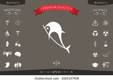 Dolphin symbol icon