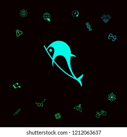 Dolphin symbol icon
