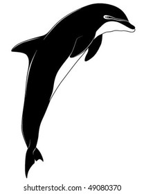 Dolphin, tattoo