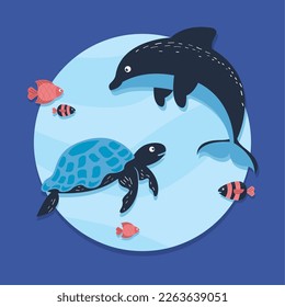 dolphin and turtle sealife animals