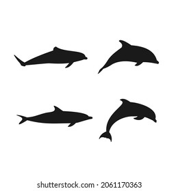 dolphin various models vector silhouette