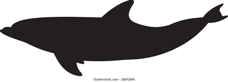 dolphin. vector