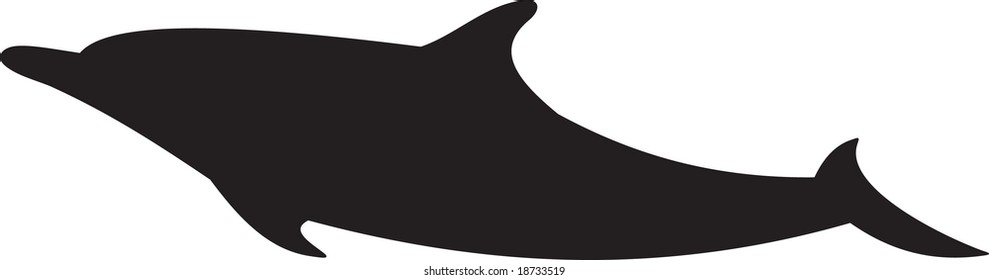 dolphin vector