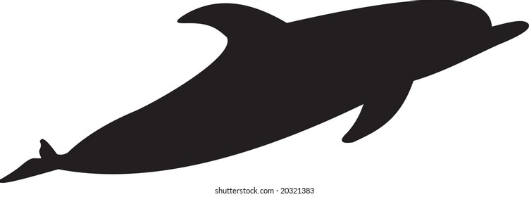 dolphin vector