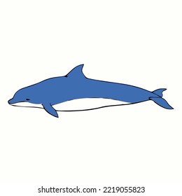 dibujos animados de vector delfines aislados en fondo blanco