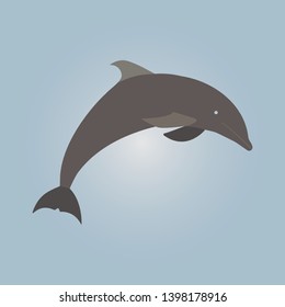Dolphin Vector Design Concept Illustration