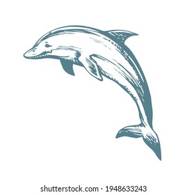 Dolphin. Vector drawing icon sign