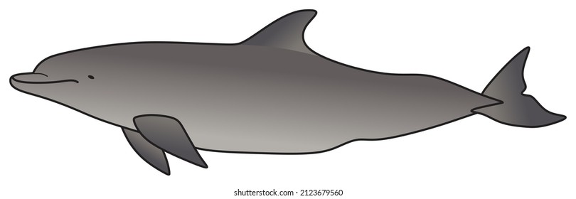 dolphin vector drawing on isolated background swimming in ocean water underwater wildlife concept cartoon fish whale animal character funny childish comic logo icon sign object outline illustration