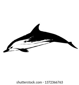 Dolphin vector hand drawn illustration. Isolated on a transparent background